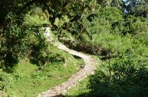 4 Days Mount Meru Guided Trekking Tour