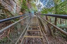 Blue Mountains Active Hike Tour from Sydney No Rides Included