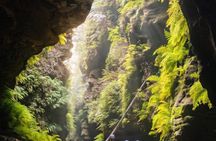 Blue Mountains Active Hike Tour from Sydney No Rides Included