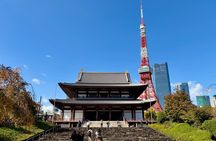 Tokyo Private Highlights Tour by Car with Local Guide