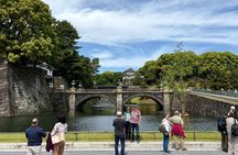 Tokyo Private Highlights Tour by Car with Local Guide