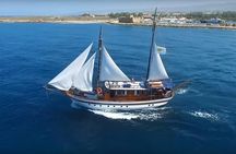 Edro III Shipwreck with Venus Sea Cruises Boat Tour