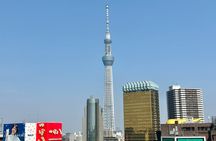 Tokyo Private Highlights Tour by Car with Local Guide