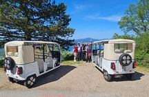 Tuk Tuk Montenegro Waves