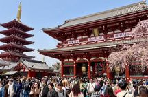 Tokyo Private Custom Tour by Luxury Car & Local Guide