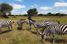 Serval Wildlife and Chemka Hot Springs Getaway from Zanzibar