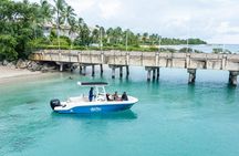 Luxury Shared Boat Tour Barbados Snorkeling and Turtles