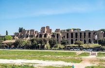 Colosseum, Roman Forum & Palatine Hill Access with Audio Guide