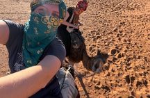 3 days 2 nights Desert Trip from Errachidia Airport /Hotel