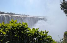 Victoria Falls Guided Walking Tour Spanish & English