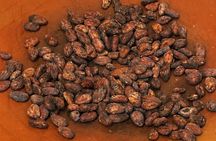Traditional Oaxacan Chocolate Class