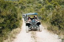 Korcula Buggy Safari Tour: Beaches, Backroads & Wine Tastings