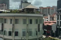 Guided Walking Tour in Singapore’s Hidden Gems