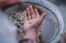 Experience Gold Rush - Sovereign Hill and Gold City Day Tour