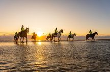 2-Hour Muriwai Beach Horse Riding Experience