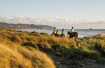 2-Hour Muriwai Beach Horse Riding Experience