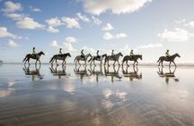2-Hour Muriwai Beach Horse Riding Experience