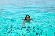 Full-Day Northern Zanzibar Snorkeling, Turtles and Sunset