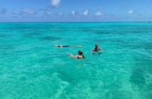 Full-Day Northern Zanzibar Snorkeling, Turtles and Sunset