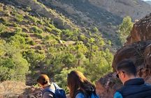 Paradise Valley Private Tour from Agadir and Taghazout
