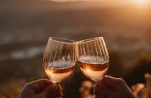Curated Wine Tasting Tour with Mexican Food Experience