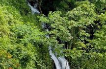 Hilo Shore Excursion Tropical Escape: Akaka Falls & Black Sands