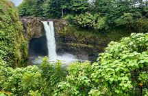 Hilo Shore Excursion: Volcanic Experience, Lava Tubes, Waterfalls