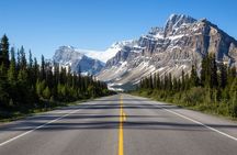 Icefields Parkway Small Group Tour with Peyto Lake and Lunch