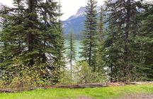 Lake Louise, Emerald, Marble canyon, Banff from YYC,Canmore,Banff