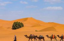 Private 3 Days Sahara Desert Tour from Fes to Marrakech