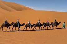 Private 3 Days Sahara Desert Tour from Fes to Marrakech