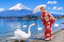 Mount Fuji Cultural Day Trip Kimono Experience or Sumo Show