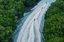 Cairns City: 1 Hour Guided Jet Ski Crocodile Spotting Tour