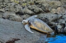 Hilo Shore Excursion Tropical Escape: Akaka Falls & Black Sands