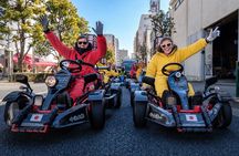 Tokyo Go-Kart Experience Through Ginza & Tokyo Bay (IDP Required)