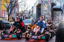 Tokyo Go-Kart through Shibuya and Shinjuku (IDP Required)