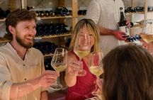 The wine tasting workshop of Emilia Romagna