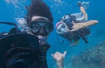 Discover Scuba in Rincon | Expert Guides, Small Groups