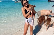 Epic Exuma Escape: Swimming Pigs, Sharks & Beyond | Full Day