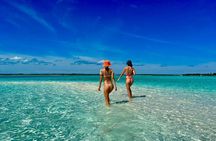 Epic Exuma Escape: Swimming Pigs, Sharks & Beyond | Full Day