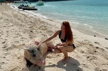 Epic Exuma Escape: Swimming Pigs, Sharks & Beyond | Full Day