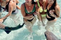 Epic Exuma Escape: Swimming Pigs, Sharks & Beyond | Full Day