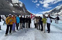 Along Icefields Parkway: Peyto Lake, Bow Lake & Columbia Icefield