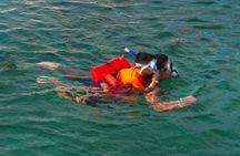 Catamaran Rose Island Tour Snorkeling, Turtles and Pigs
