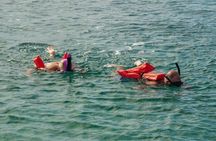 Catamaran Rose Island Tour Snorkeling, Turtles and Pigs