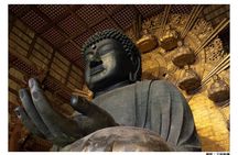 Kyoto & Nara Full-Day Tour: Kinkaku-ji, Todai-ji & Nara Park