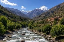 Ourika Valley Day Trip with Camel Ride, Waterfalls & Lunch