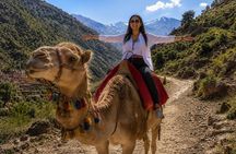 Ourika Valley Day Trip with Camel Ride, Waterfalls & Lunch
