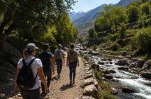 Ourika Valley Day Trip with Camel Ride, Waterfalls & Lunch