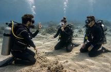 PADI Open Water Diver Course in Curacao Small Groups